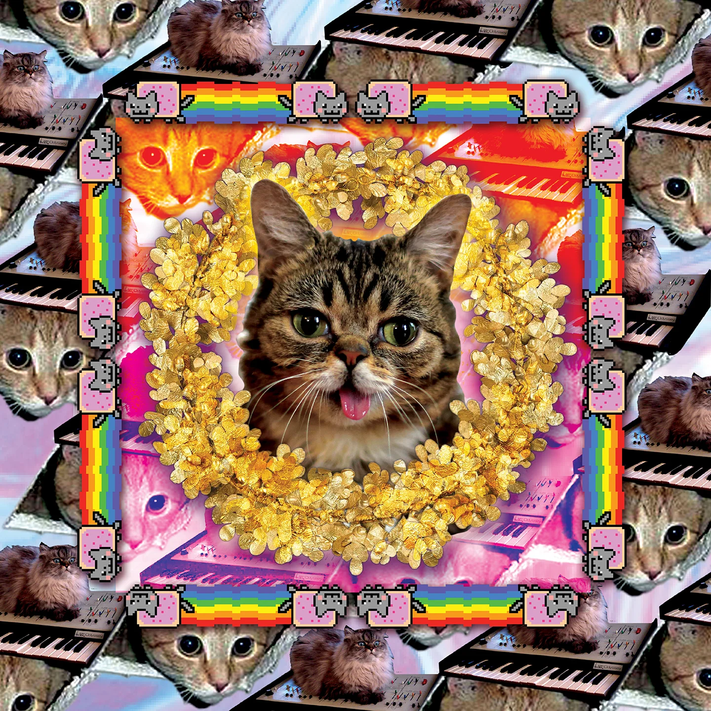 Lil Bub 11x11.jpg