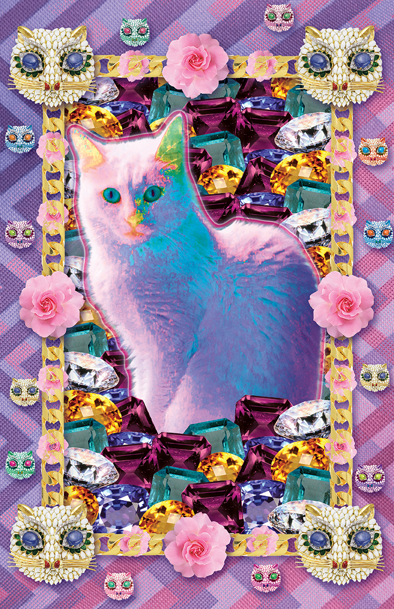 rich cat 11x17.jpg