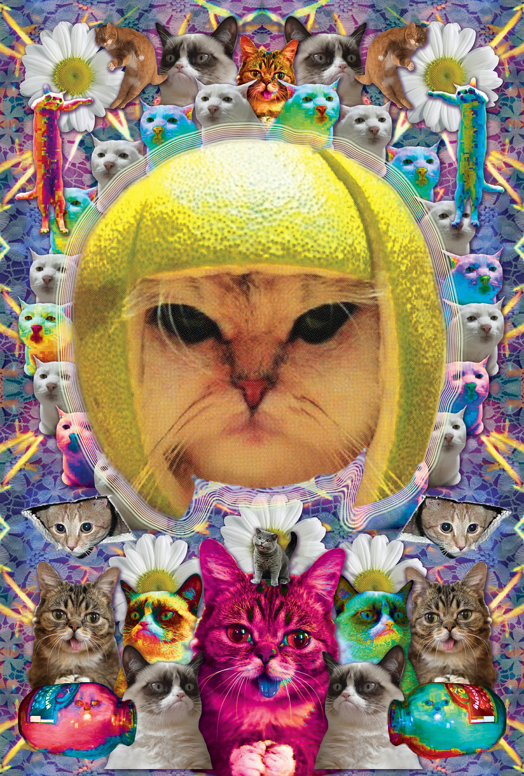 Internet cats 24 x 36.jpg