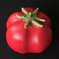 -- tomato.jpeg