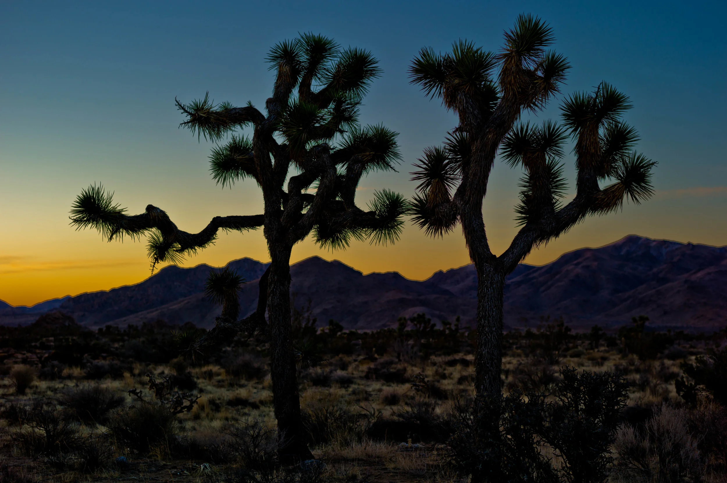 jtnp.jpg