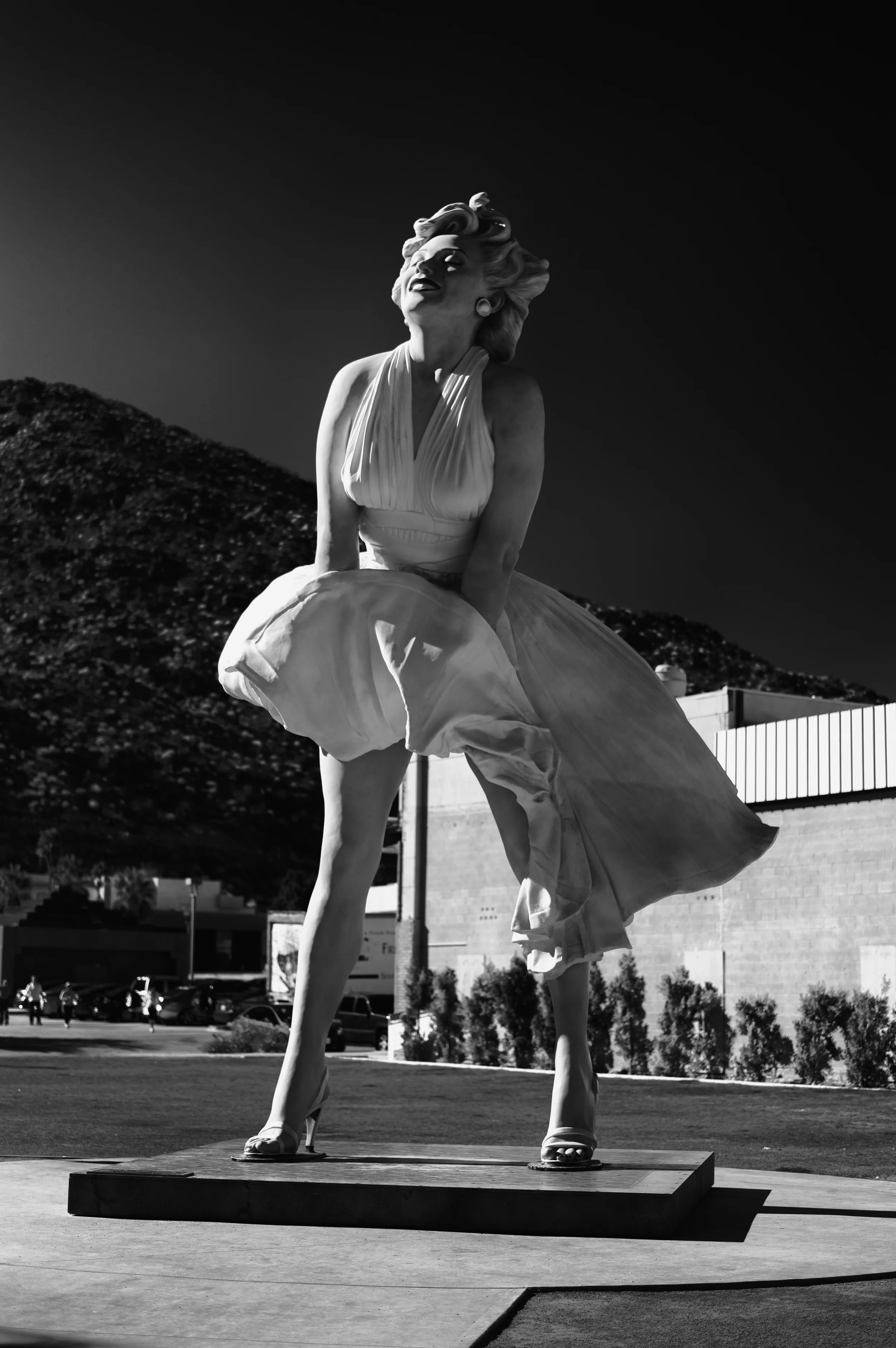 L1000917.jpg
