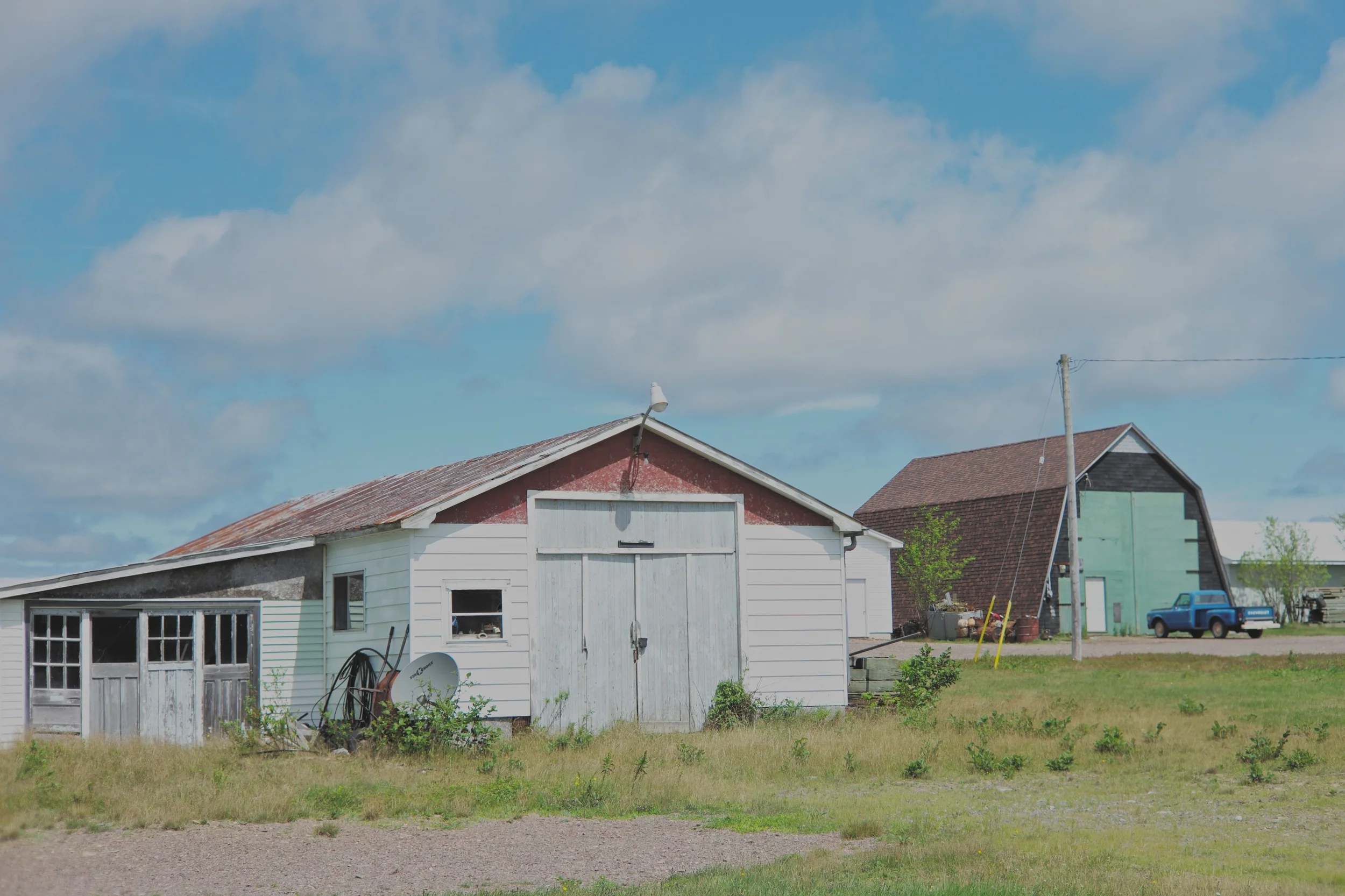 L1001068.jpg