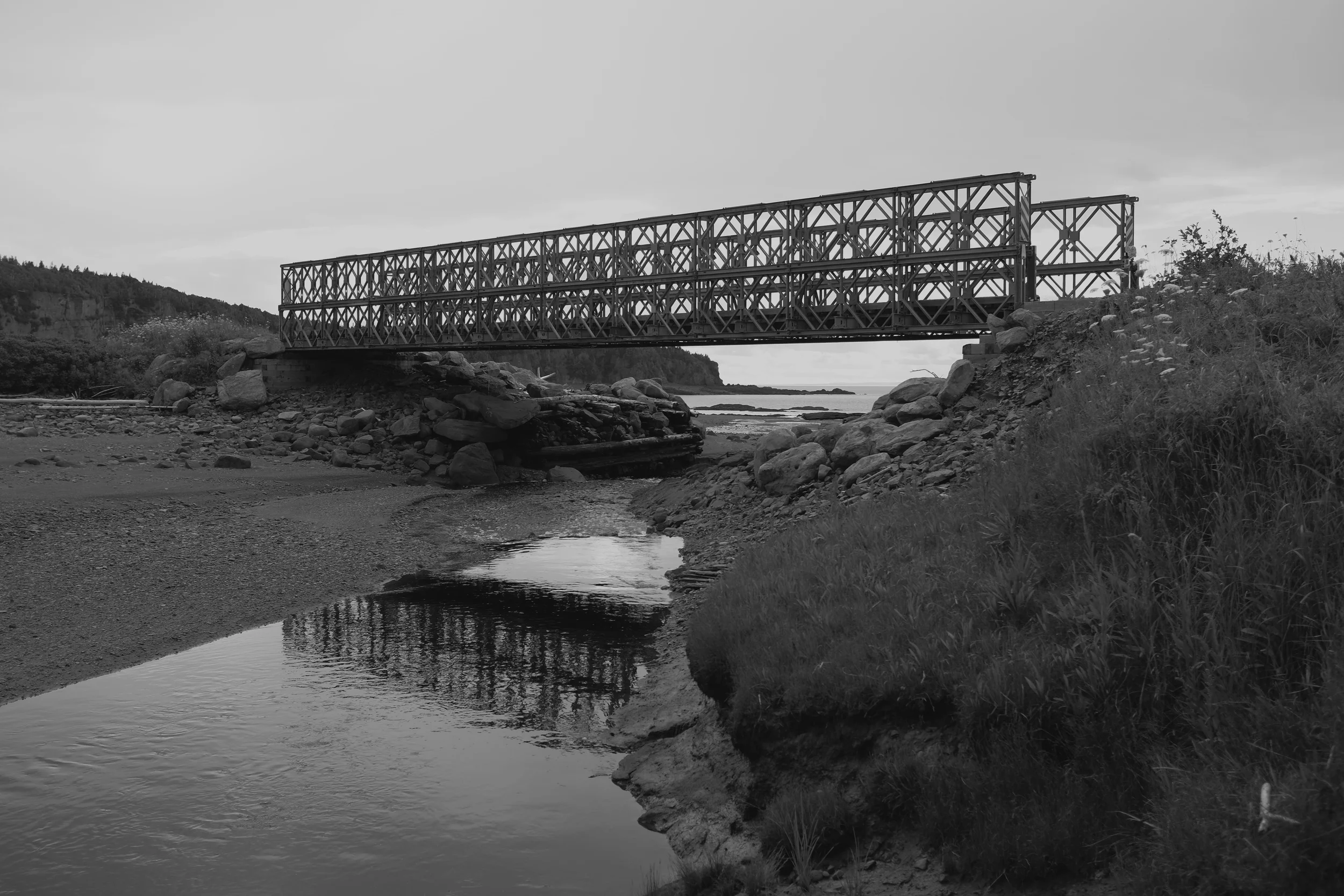 DSCF0735.jpg