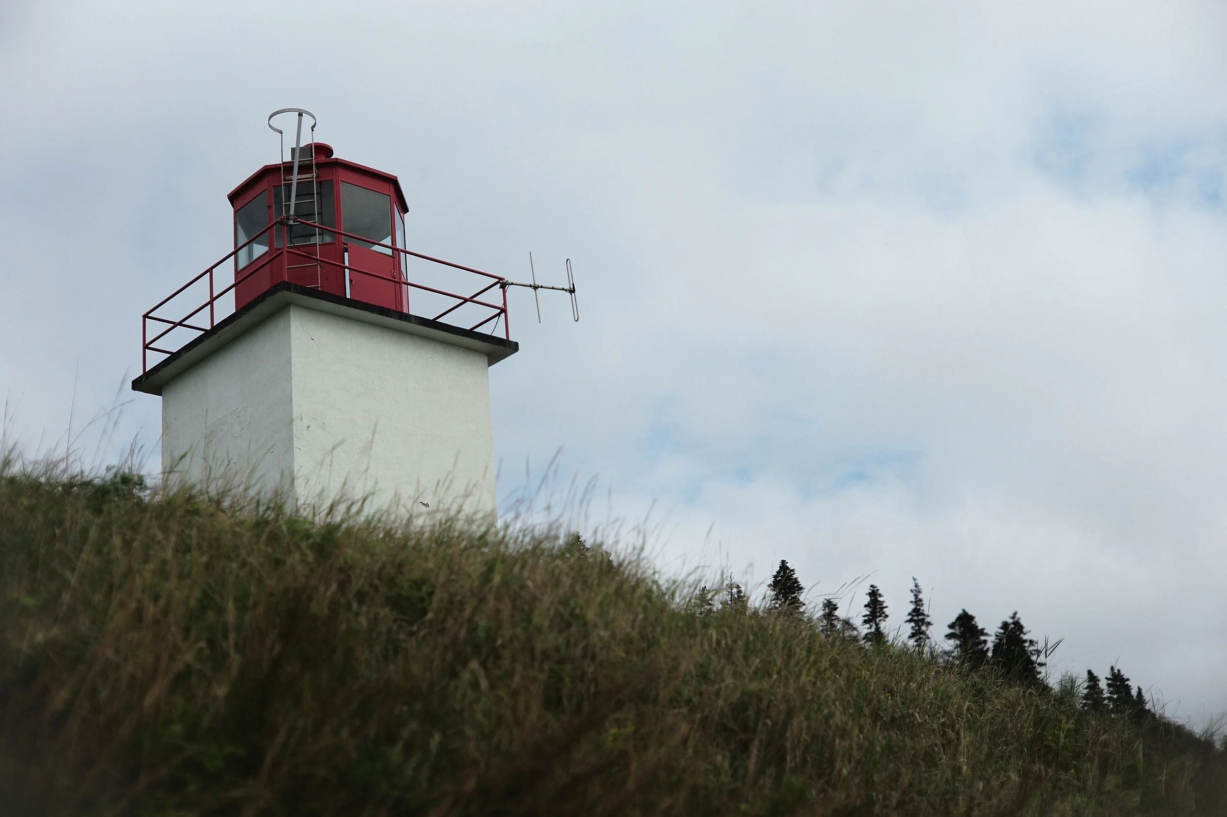 L1001011.jpg