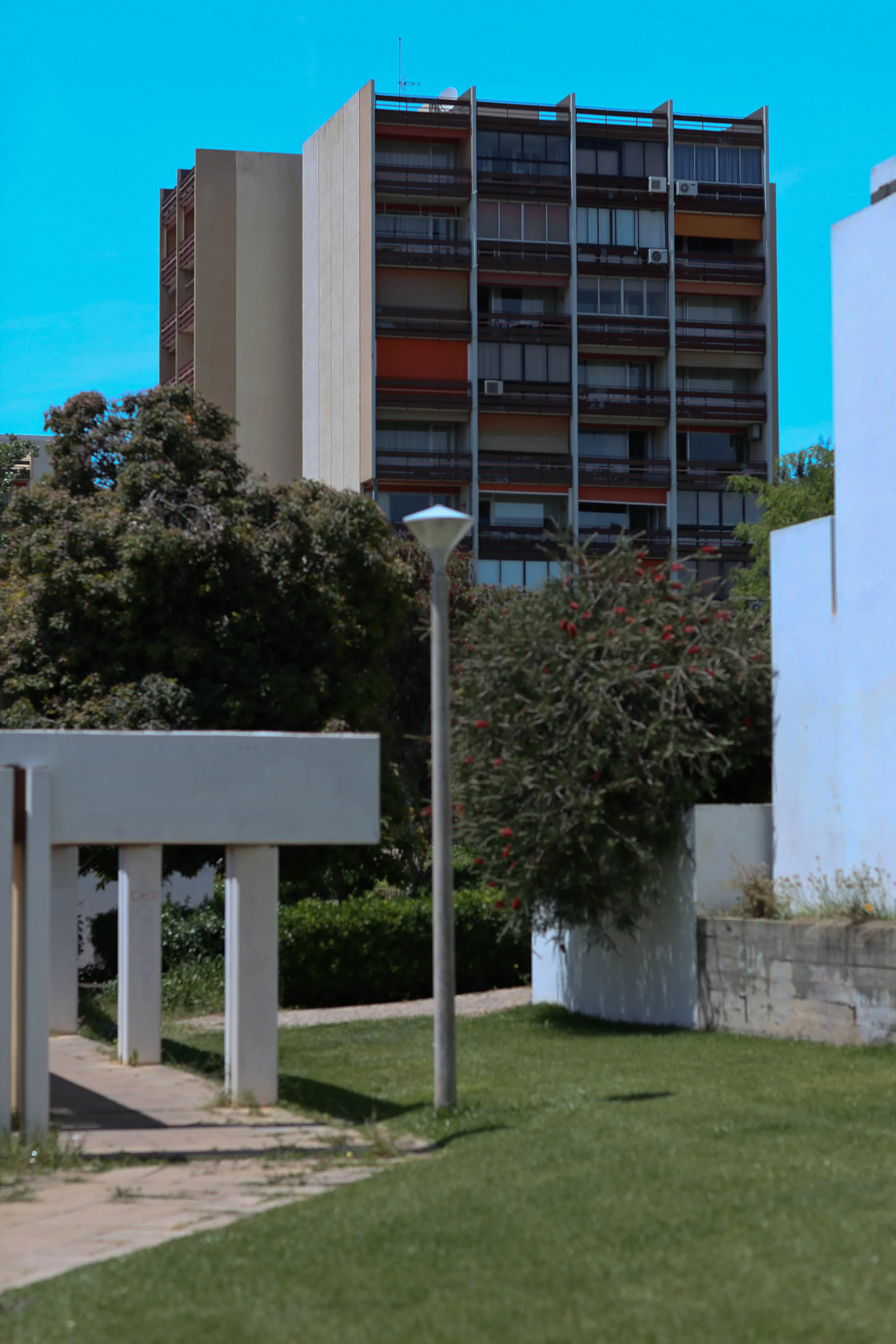 8Z2B0378.jpg