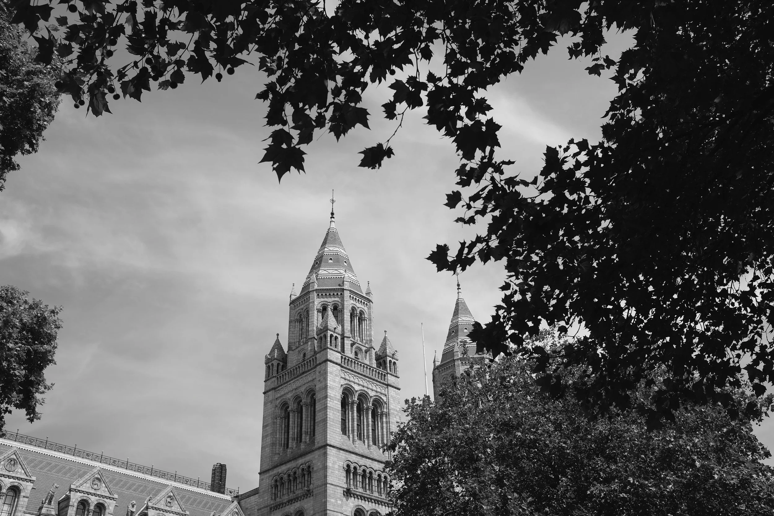 DSCF0290.jpg