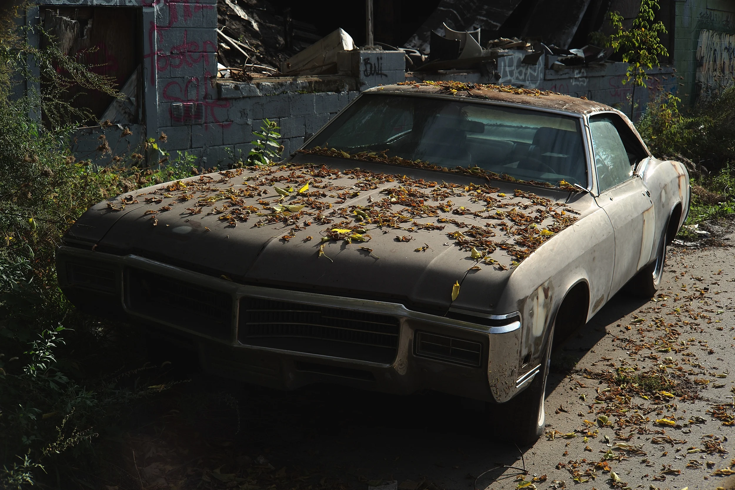 L1001557.jpg