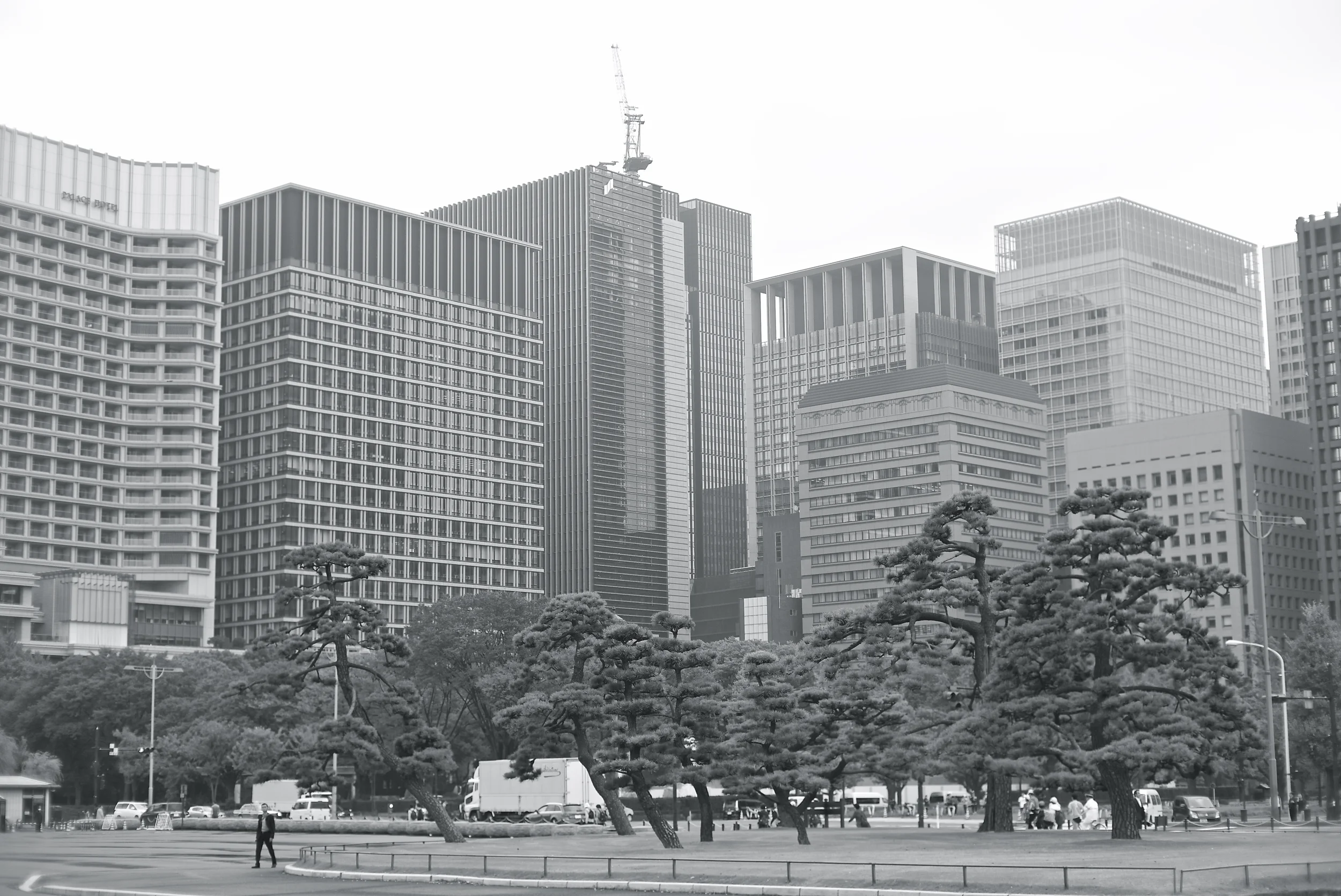 L1001908.jpg
