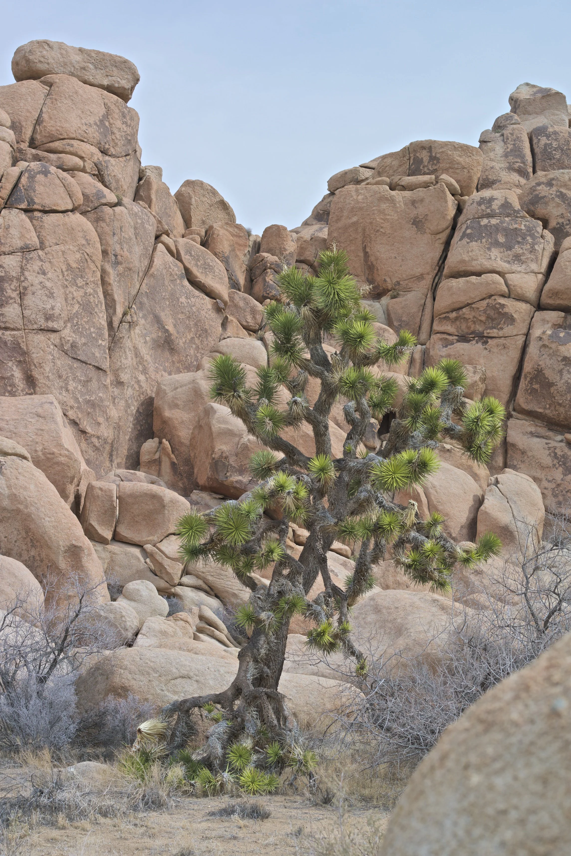 L1000772.jpg