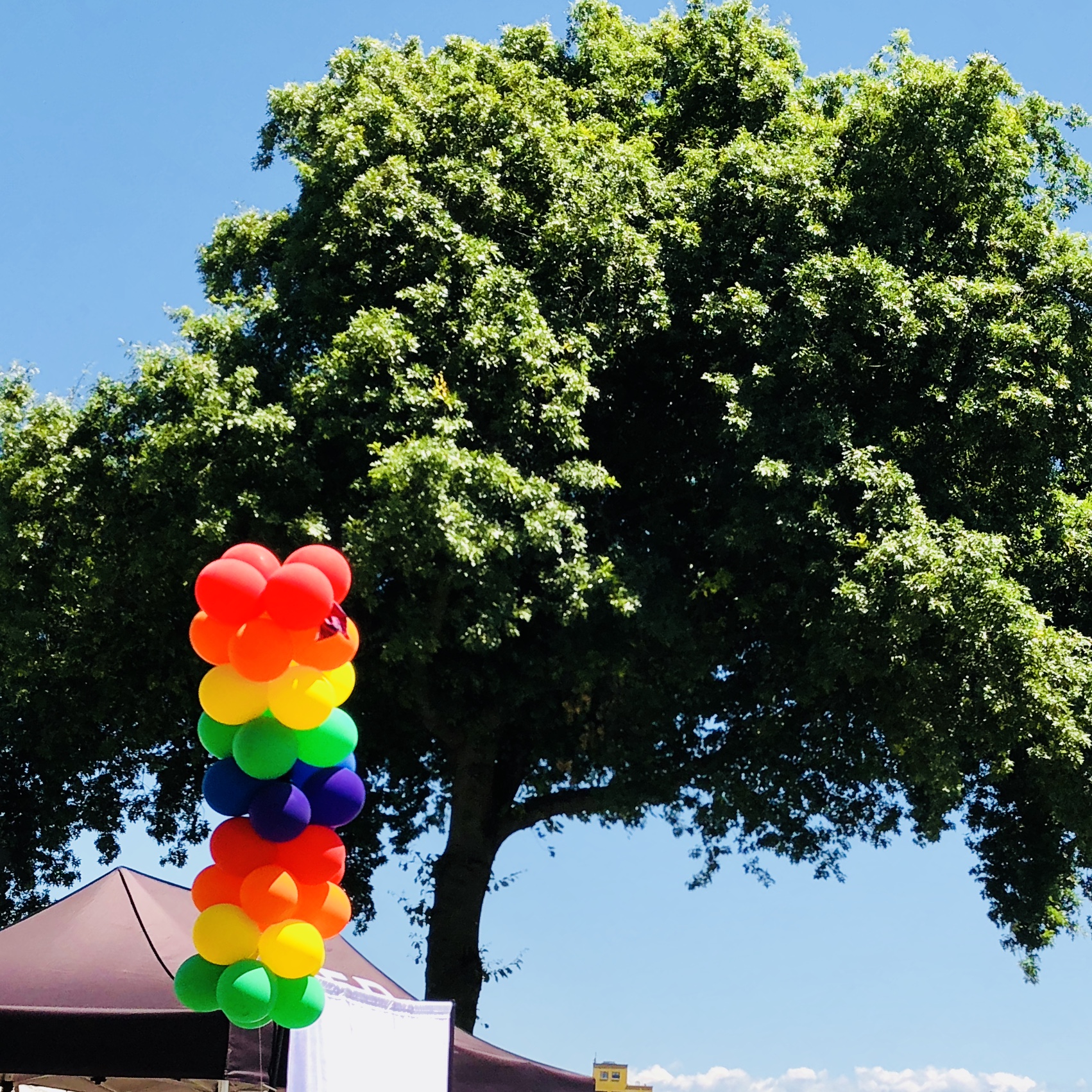 Pride balloons