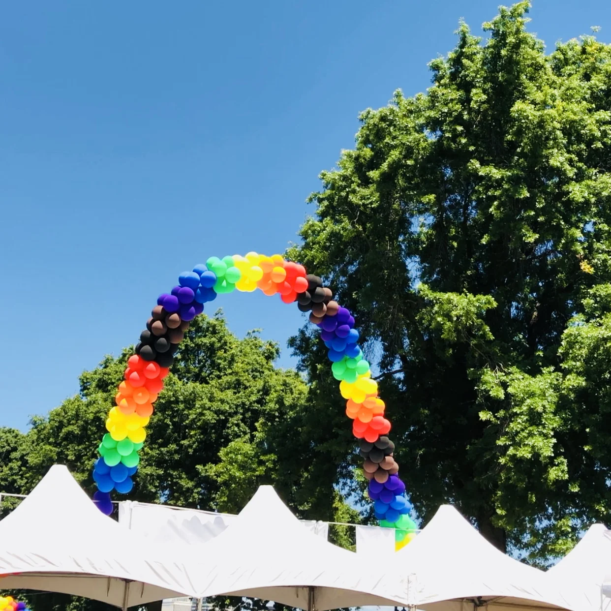 Pride balloons.jpg