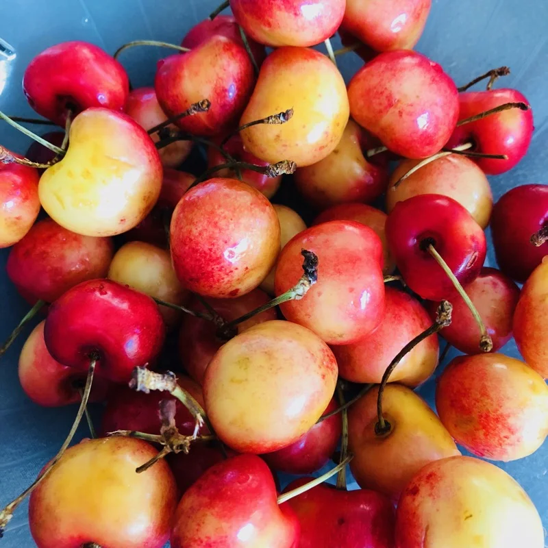 rainier cherries.jpeg