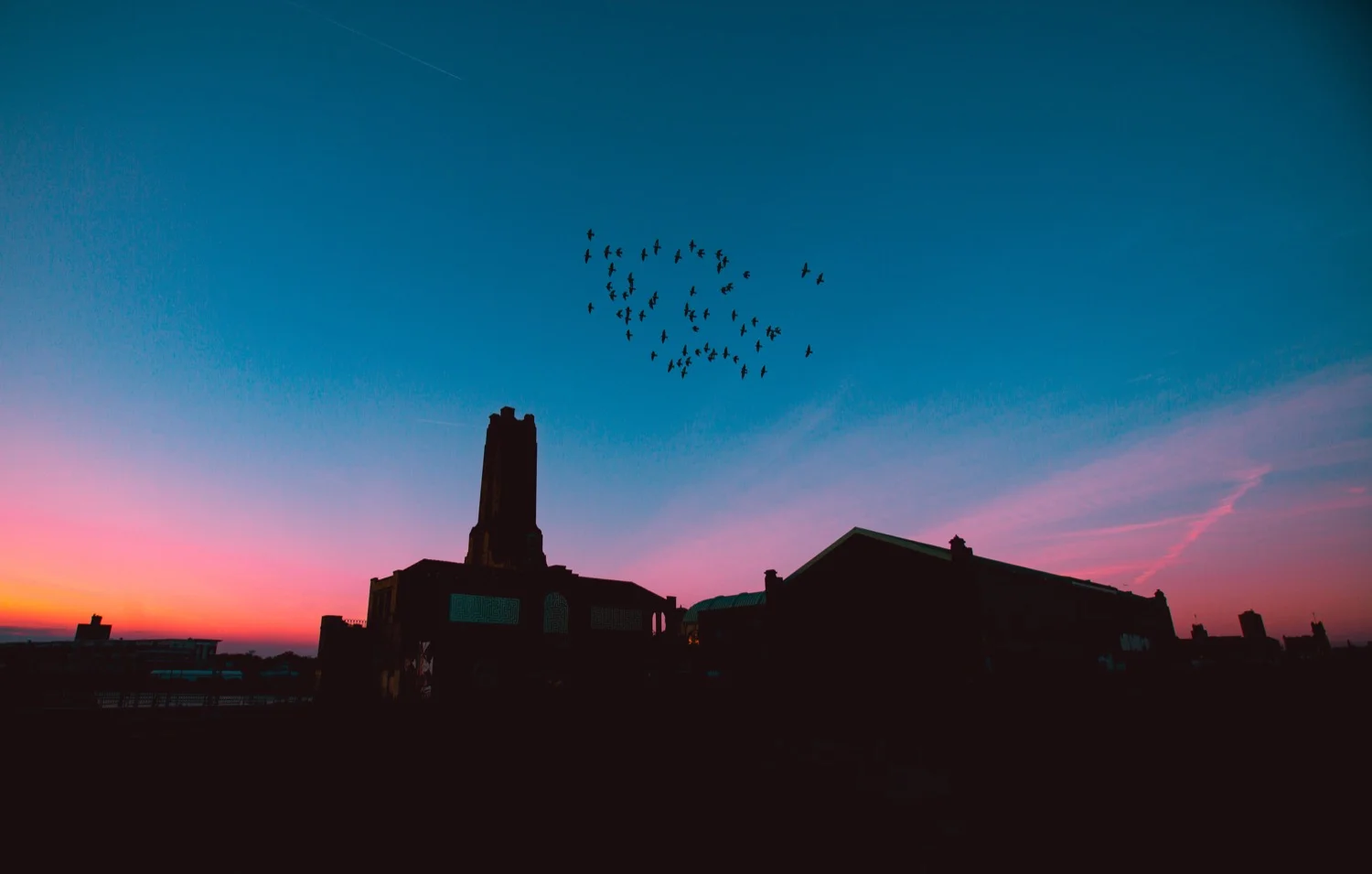 Photo by Ryan Loughlin • these are not Vaux’s swifts at Chapman Elementary, but the photo conveys the feeling of beauty at the scene :)