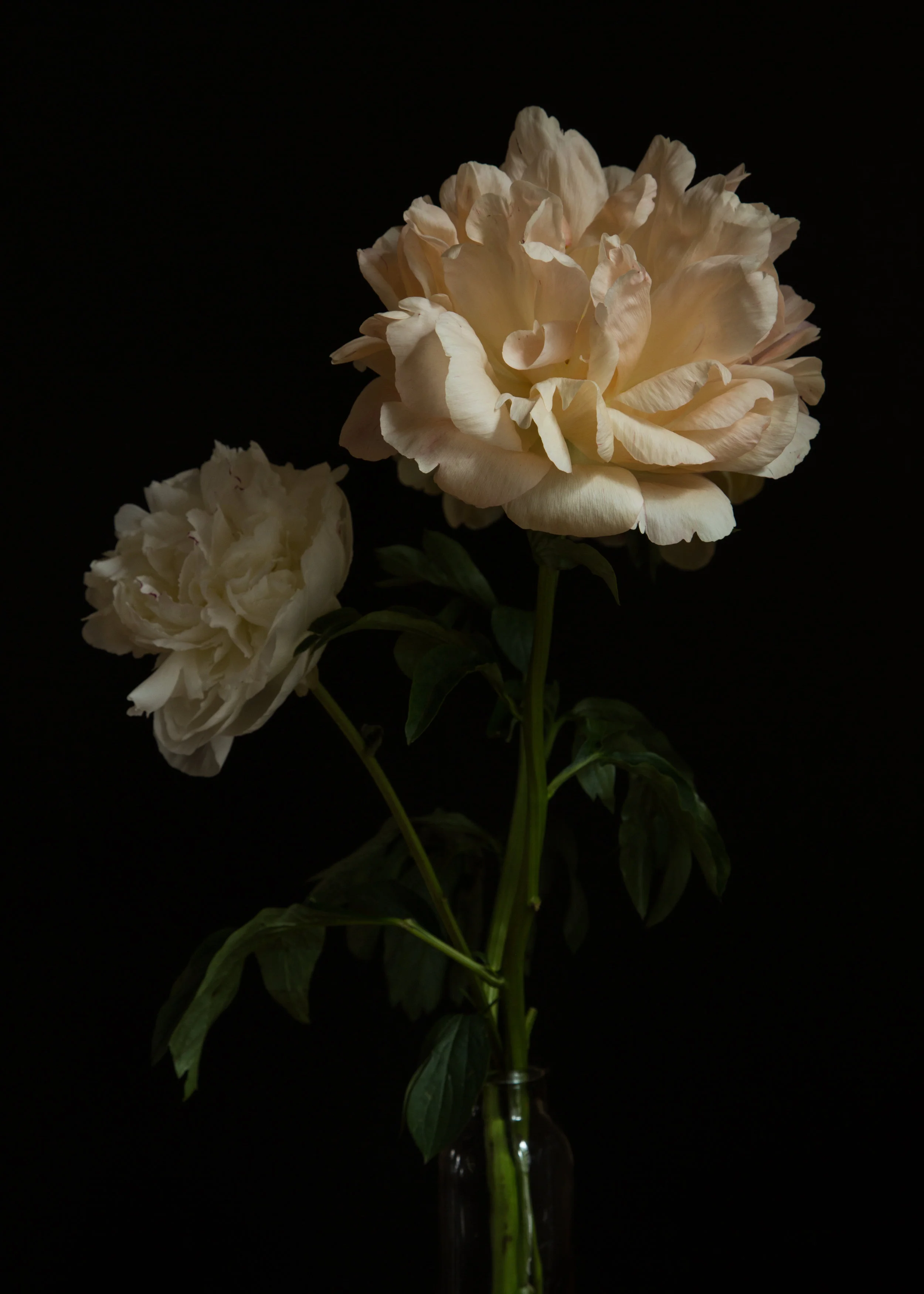 _E4A6402.jpg