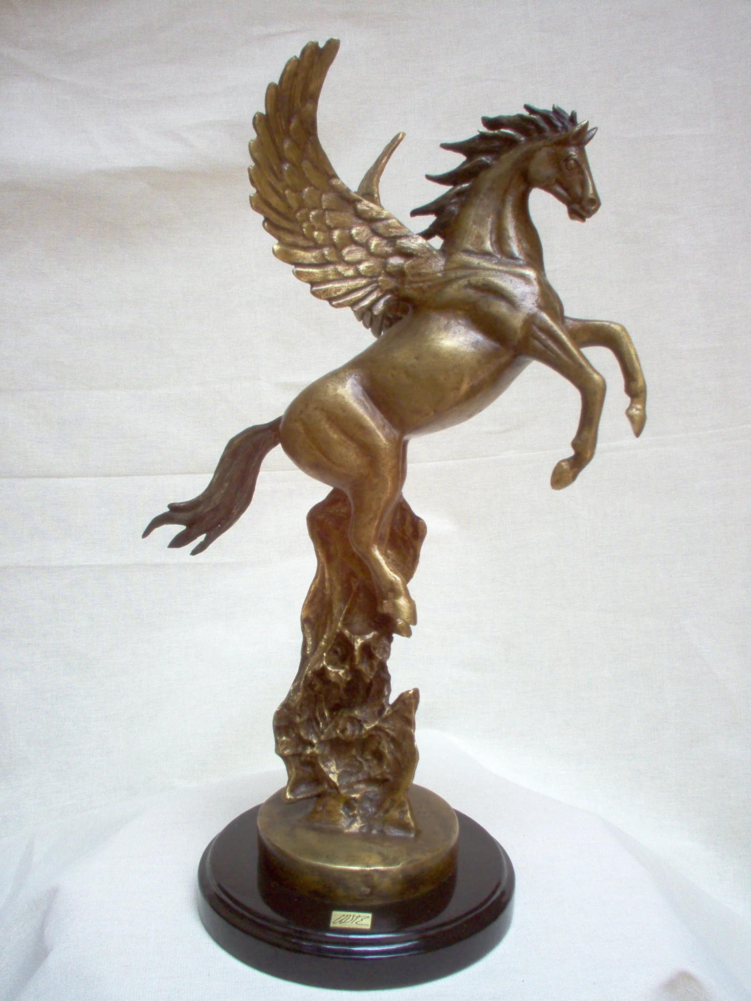 11.-Pegaso.JPG