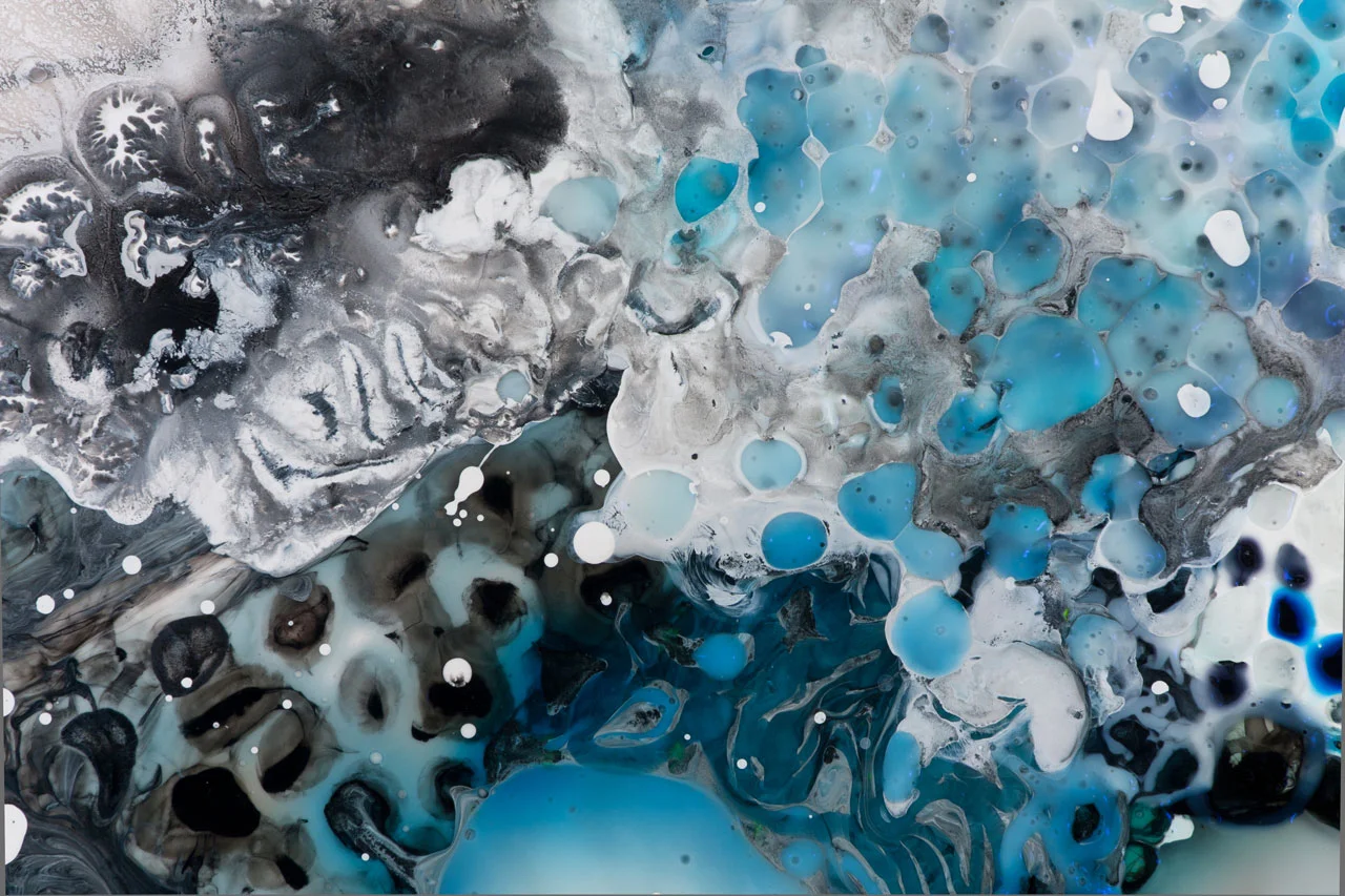 Peculiar Method, detail 2011 ink and acrylic on mylar 30 by 24 inches