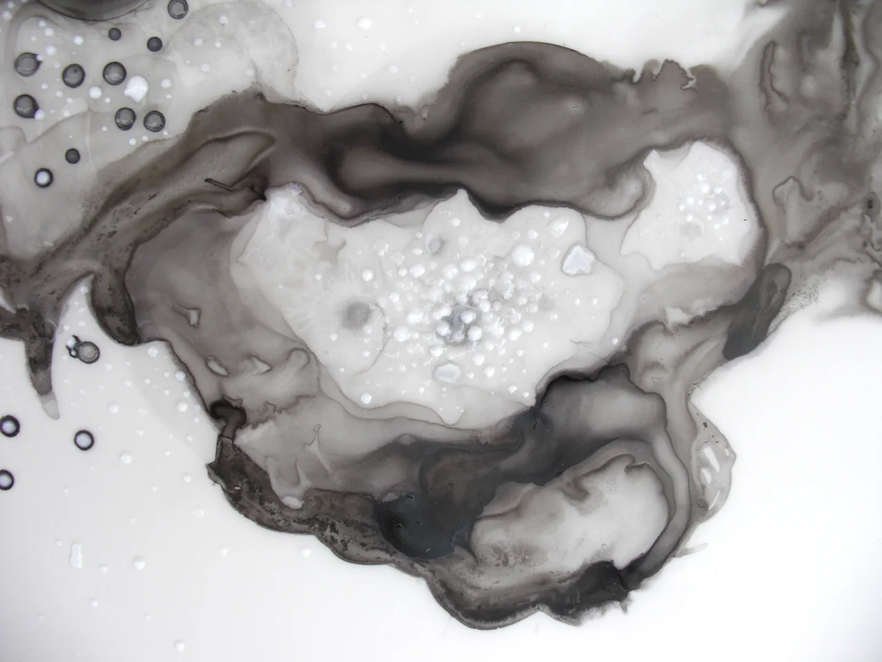 Floating World 1, detail 2011 ink and acrylic on mylar 36 by 24 inches