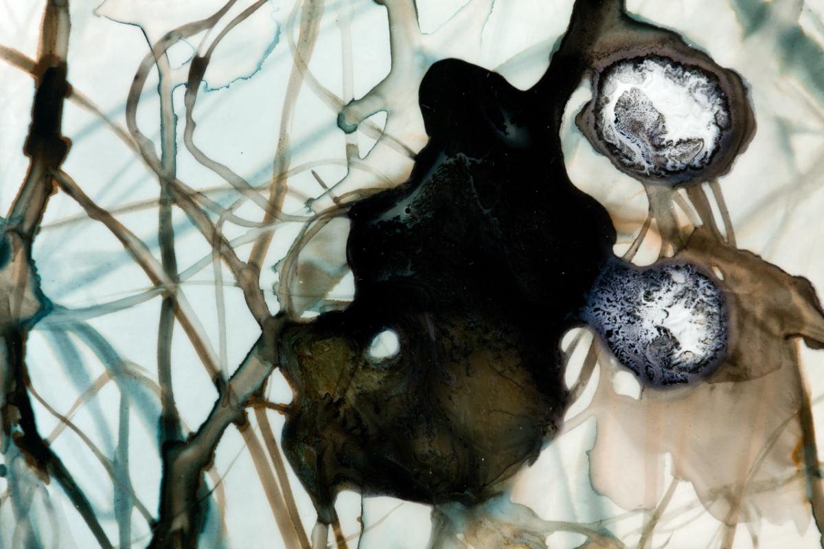 Skimmer #2, detail 2011 ink and acrylic on mylar 25 by 20 inches 