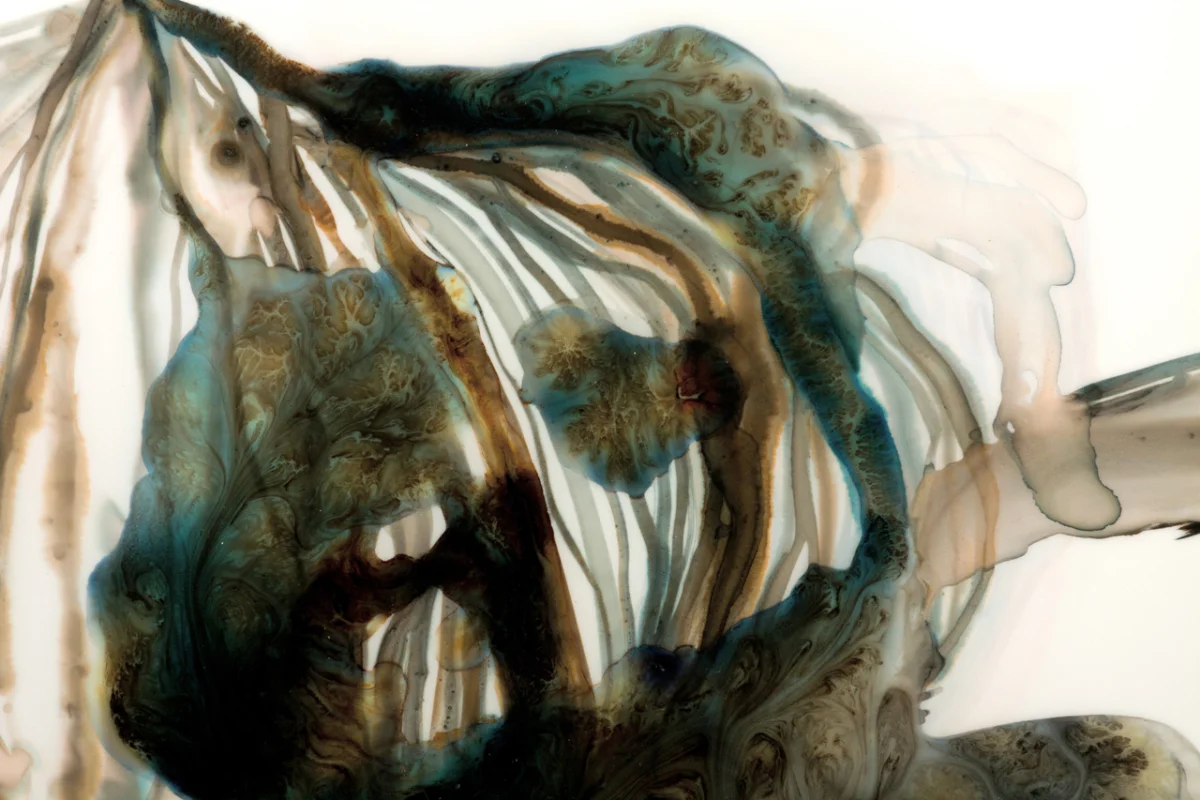 Skimmer #3, detail 2011 ink and acrylic on mylar 25 by 20 inches