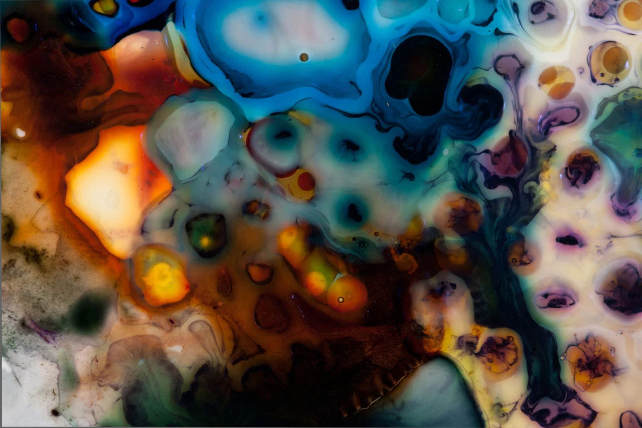 Lazy Radiance, detail 2011 Ink and acrylic on mylar 14 by 17 inches