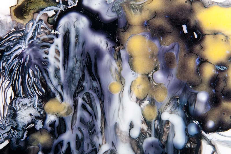 Incandescent Event, detail 2012 ink and acrylic on mylar 13 by 13 inches