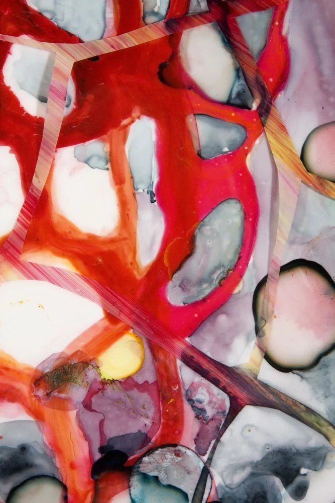 Jetsom, detail 2009 ink and acrylic on mylar 51 by 67 inches