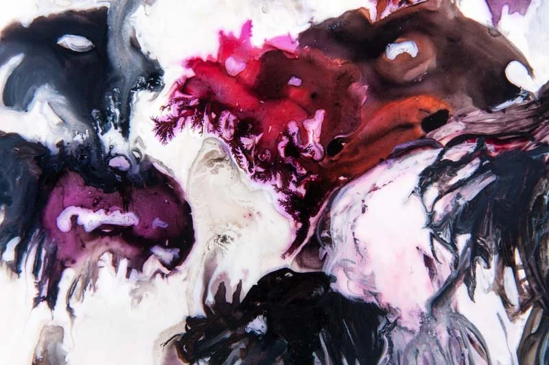 Efforts to the Contrary, detail ink and acrylic on mylar 13 by 13 inches 2012