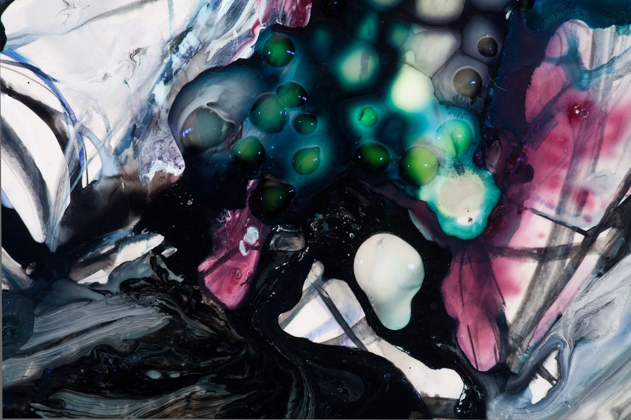 Quagmire, detail 2011 ink and acrylic on mylar 22.75 by 19.75 inches