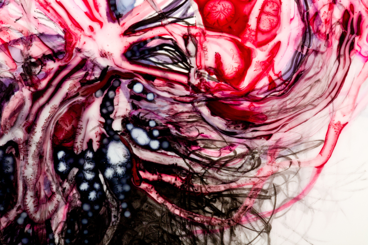 Swoon, detail 2011 ink and acrylic on mylar 25 inches by 20inches 