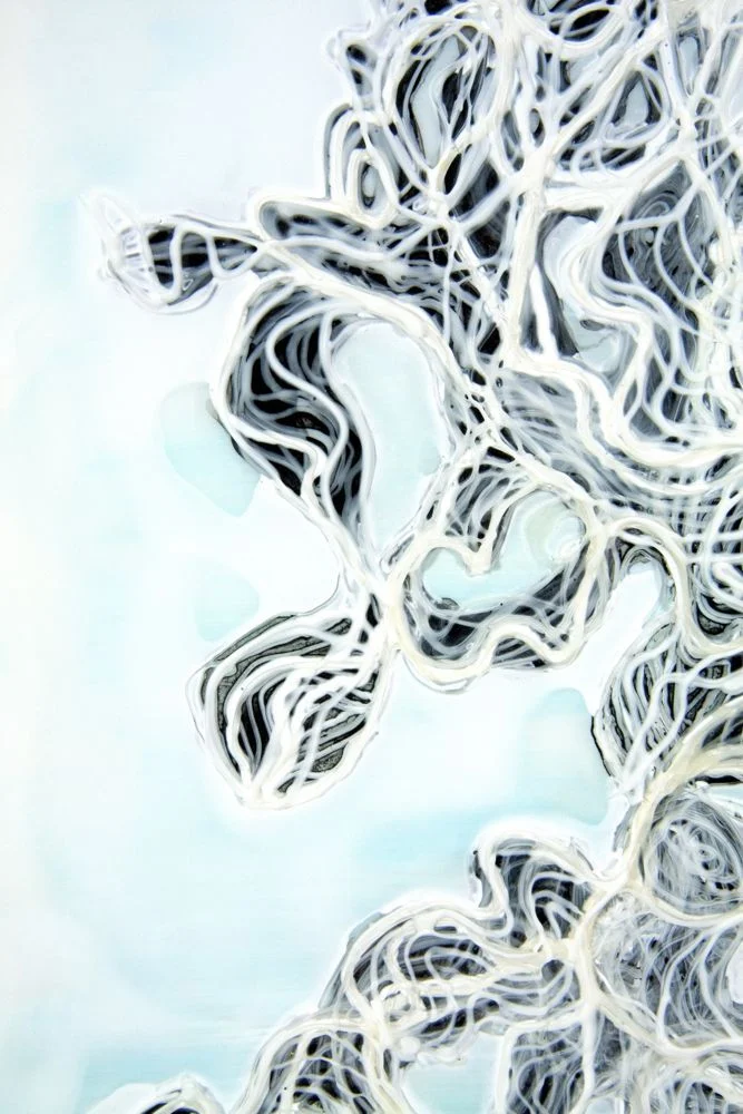 Swamp Swan 3, detail 2009 ink and acrylic on mylar 20 by 24 inches