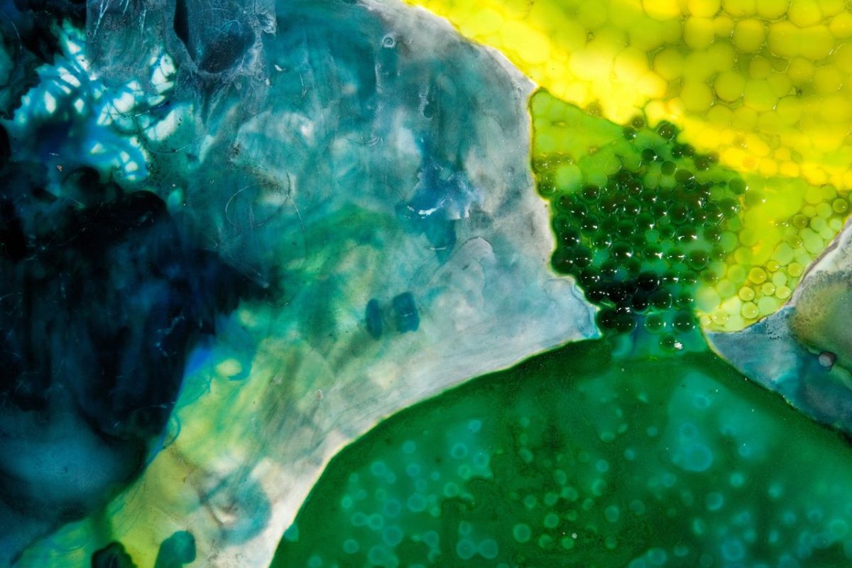 Swamp Sister, detail 2010 ink and acrylic on mylar 42 by 32 inches