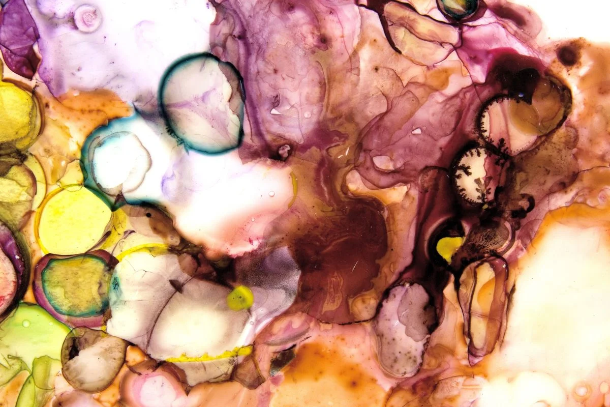Flotsam, detail 2009 ink and acrylic on mylar 51 by 67 inches