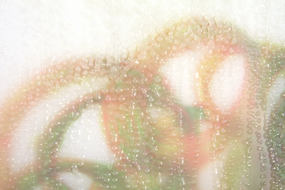 Echo Sounding 1, detail 2009 ink and acrylic on mylar 20 by 24 inches