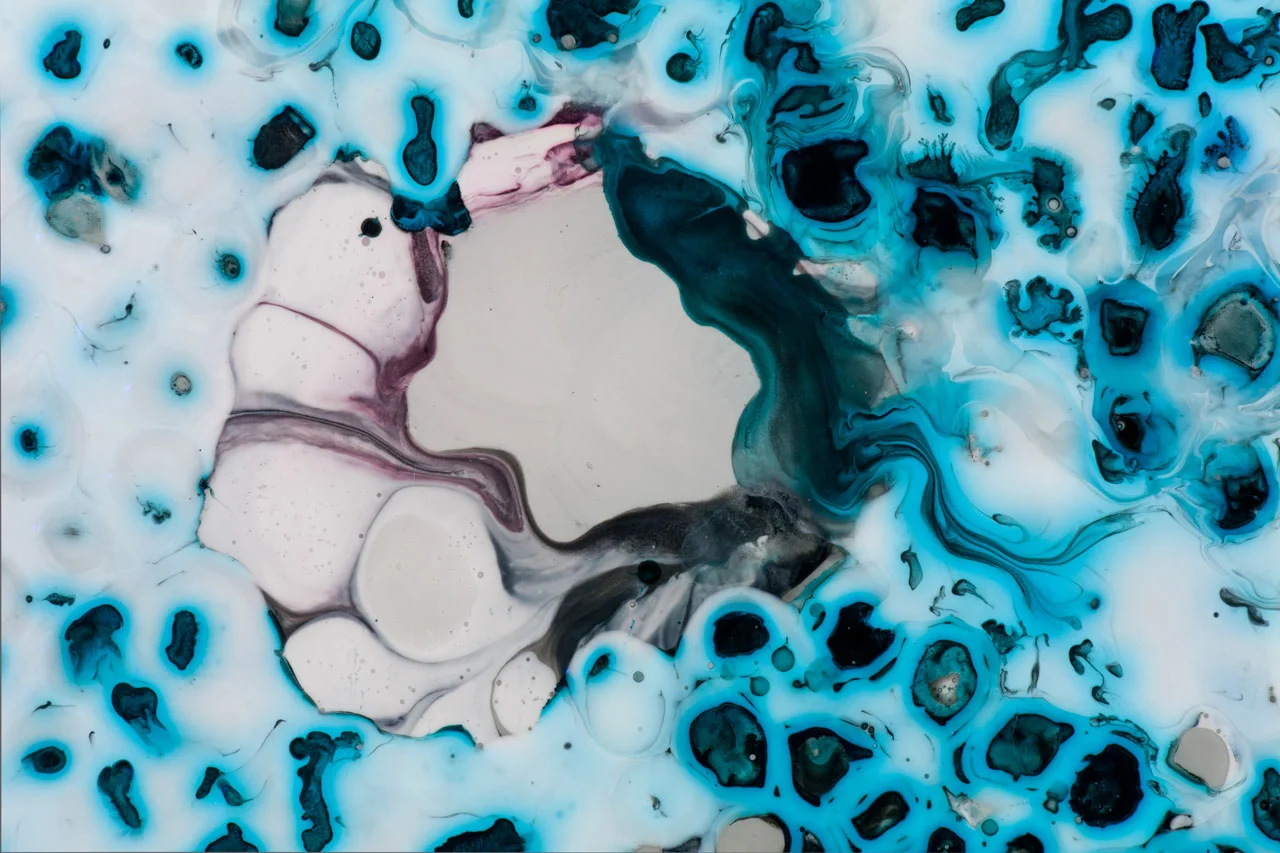 Festoon, detail 2011 ink and acrylic on mylar 53 by 53 inches