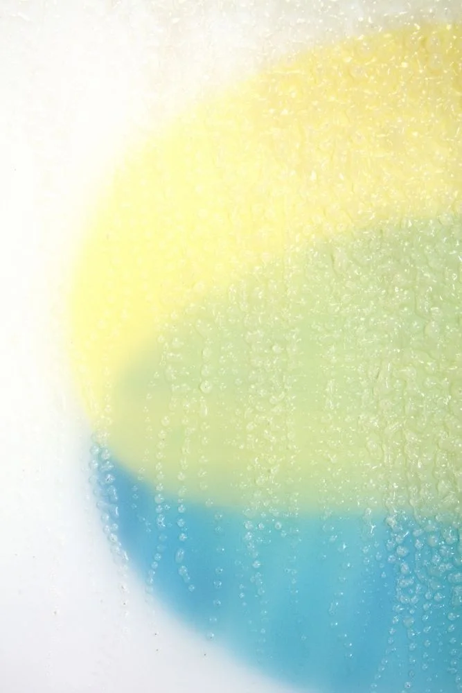 Echo Sounding 2, detail 2009 ink and acrylic on mylar 20 by 24 inches