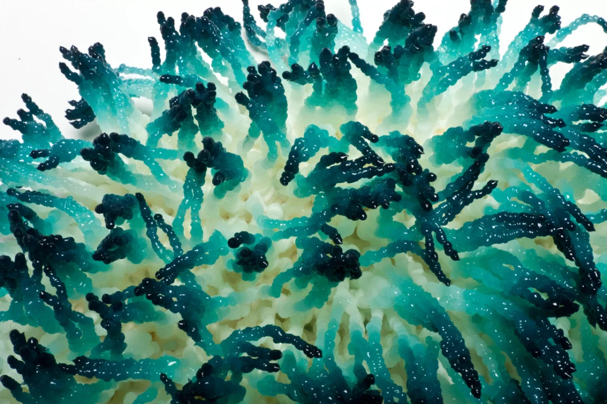 Dizzy Spell, detail 2011 acrylic on canvas 16 by 16 inches