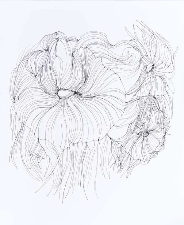 Untitled 2 2012 ink on paper 9 by 11 inches