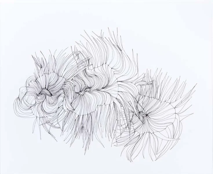 Untitled 1 2012 ink on paper 9 by 11 inches