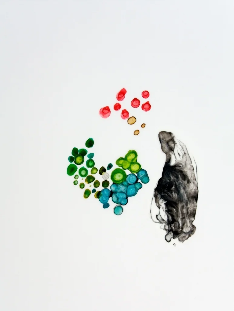 Once Removed 1 2010 ink and acrylic on duralar 11 by 14 inches