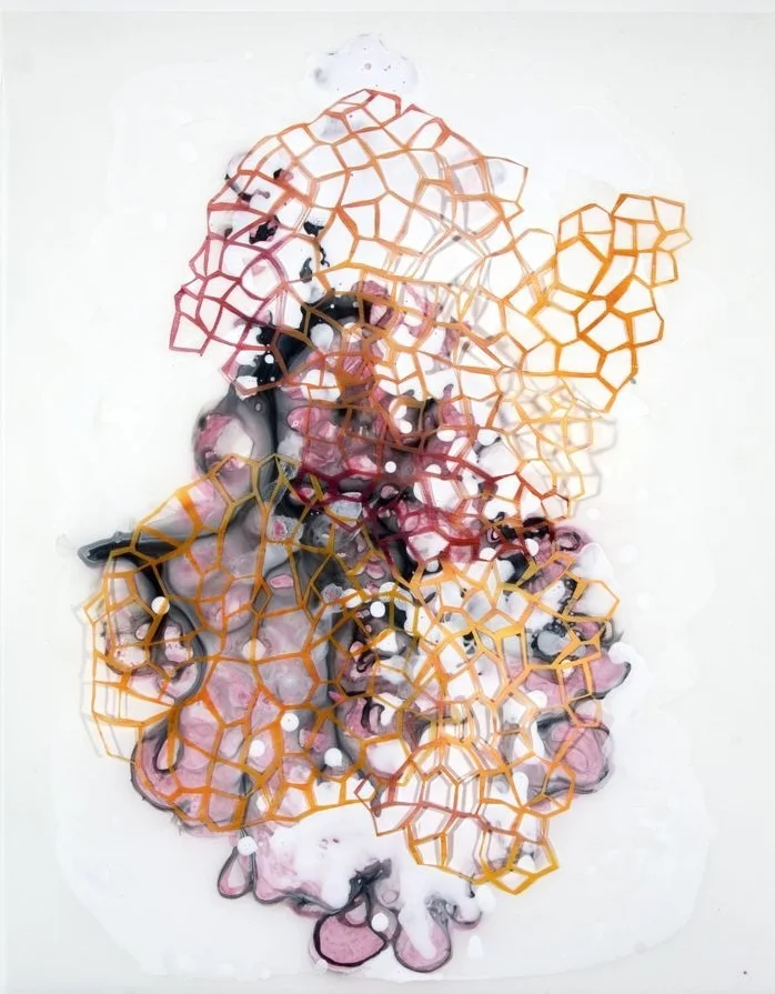 Swamp Swan 5 2009 ink and acrylic on mylar 25 by 31 inches