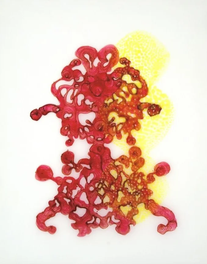 Swamp Swan 4 2009 ink and acrylic on mylar 25 by 31inches