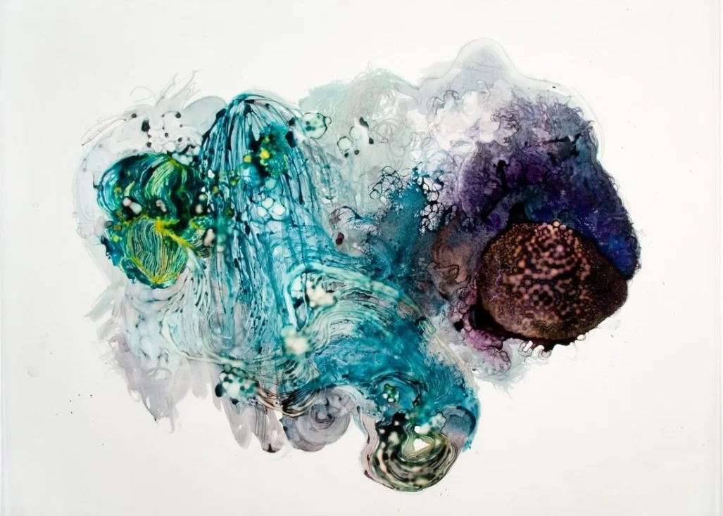 You Don't Miss Your Water 2010 ink and acrylic on mylar 52 by 39 inches