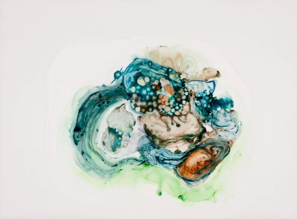 Follow the Sound 2011 ink and acrylic on mylar 54 by 38 inches