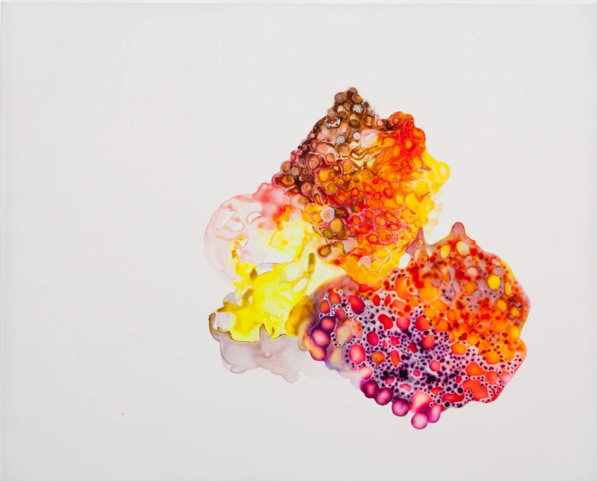 Speckled Splay 2011 ink and acrylic on mylar 30 by 24 inches