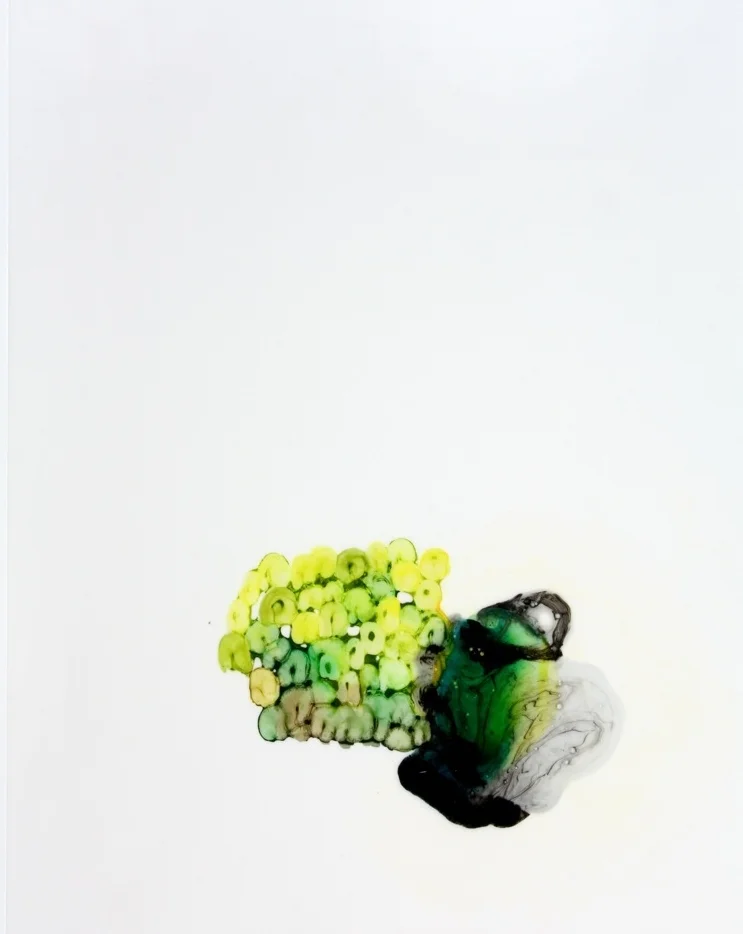 Once Removed 2 2010 ink and acrylic on duralar 11 by 14 inches