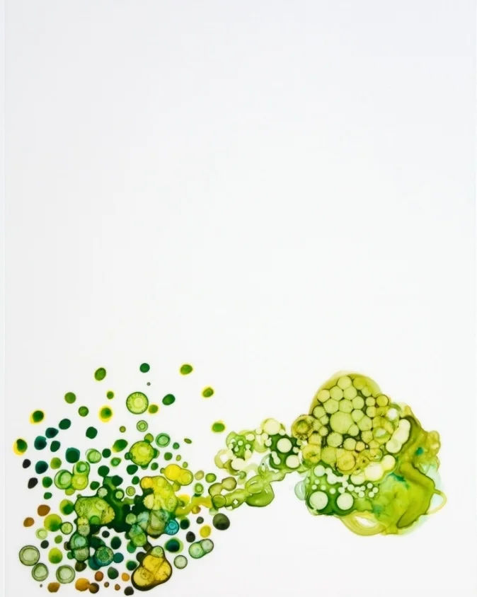 Once Removed 3 2010 ink and acrylic on duralar 11 by 14 inches