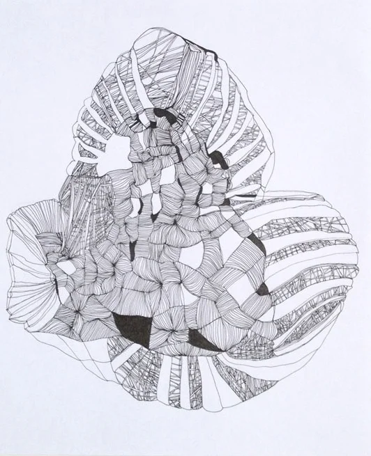 Betwixt & Between 17 2013 ink on paper 14 by 17 inches