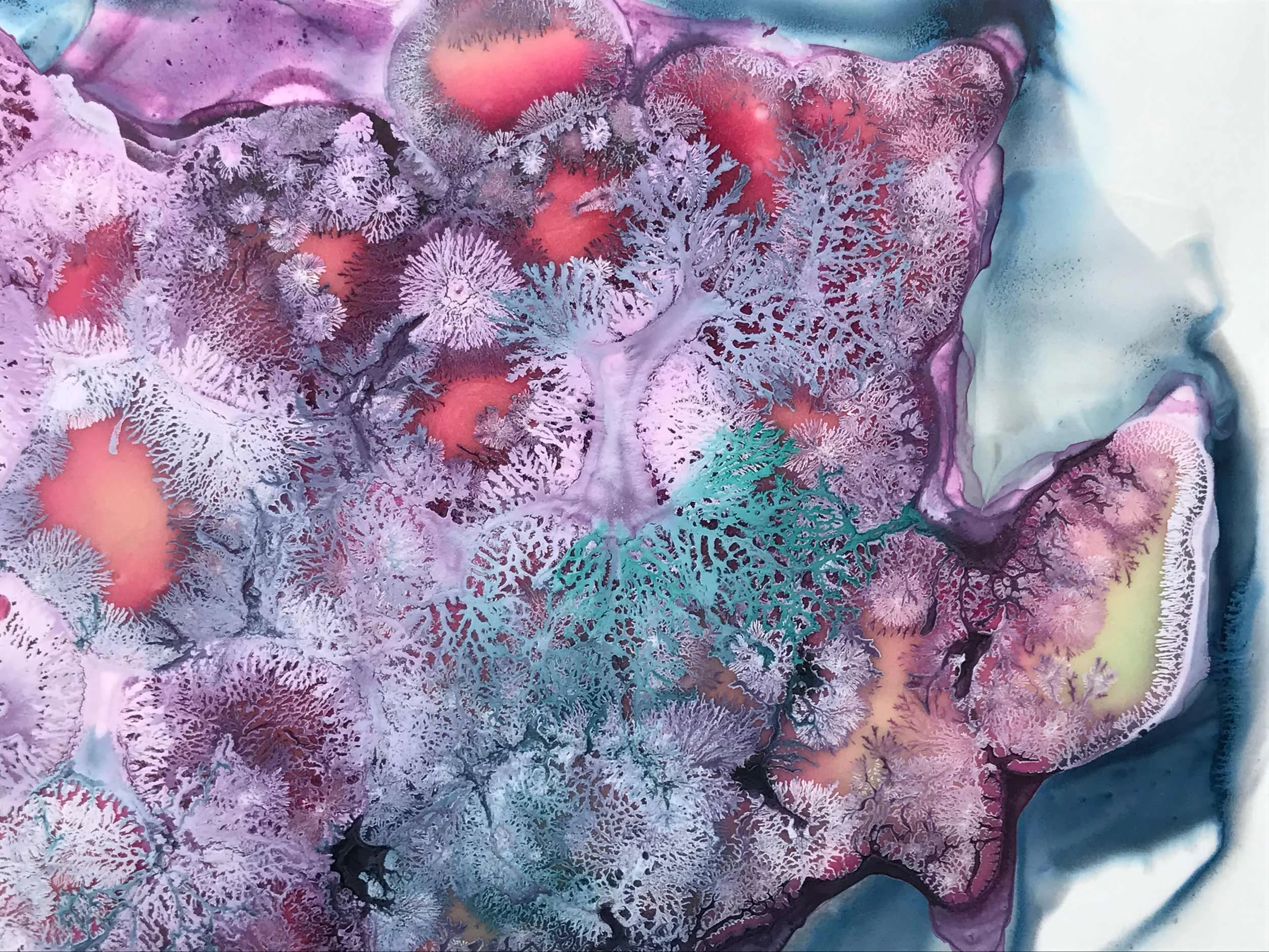 Fray, detail 2017 ink and acrylic on synthetic paper 16 by 13 inches