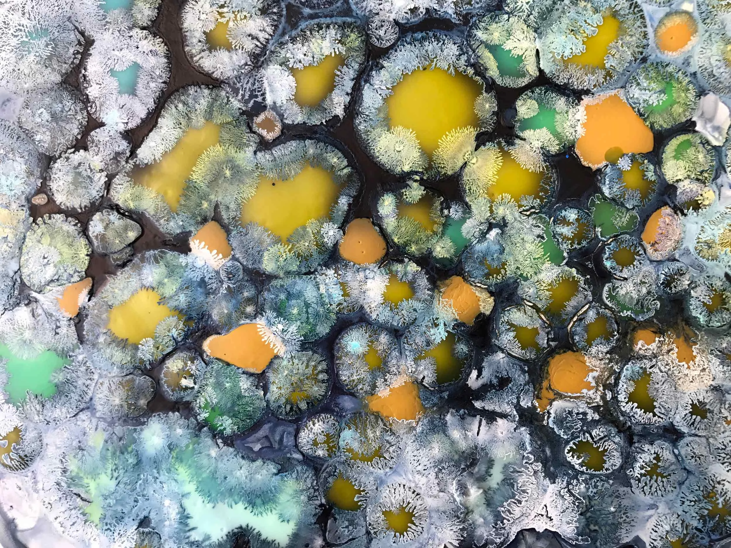 Waterborne, detail 2017 ink and acrylic on synthetic paper 16 by 13 inches